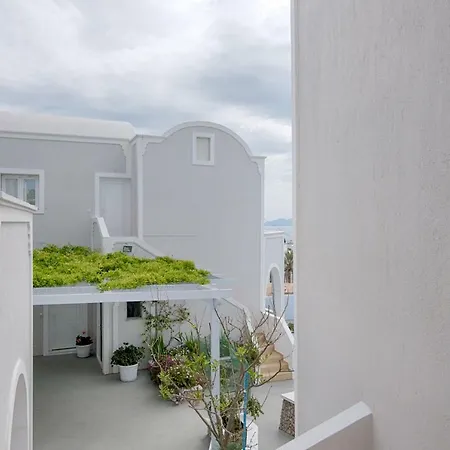 Wisteria * Karterados (Santorini)