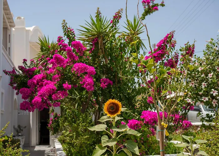 Wisteria Διαμέρισμα Καρτεράδος
